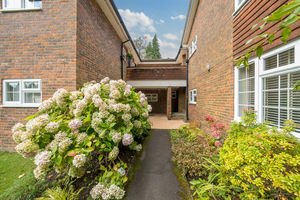 Photo 11- click for photo gallery